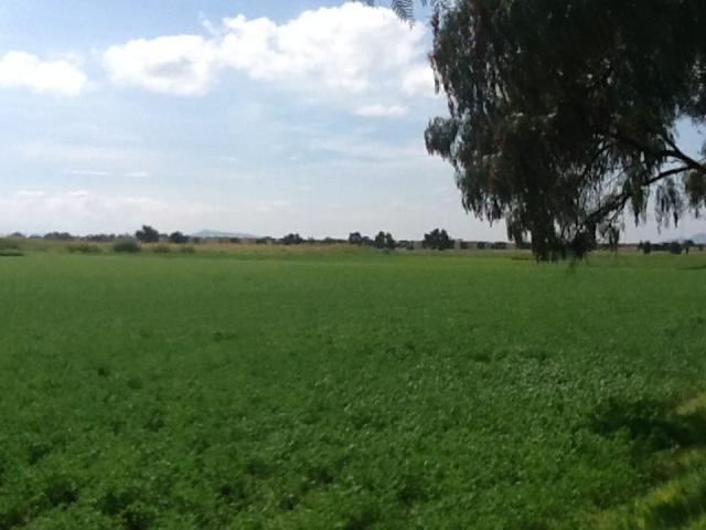 Terreno para Venta en Zumpango - 4
